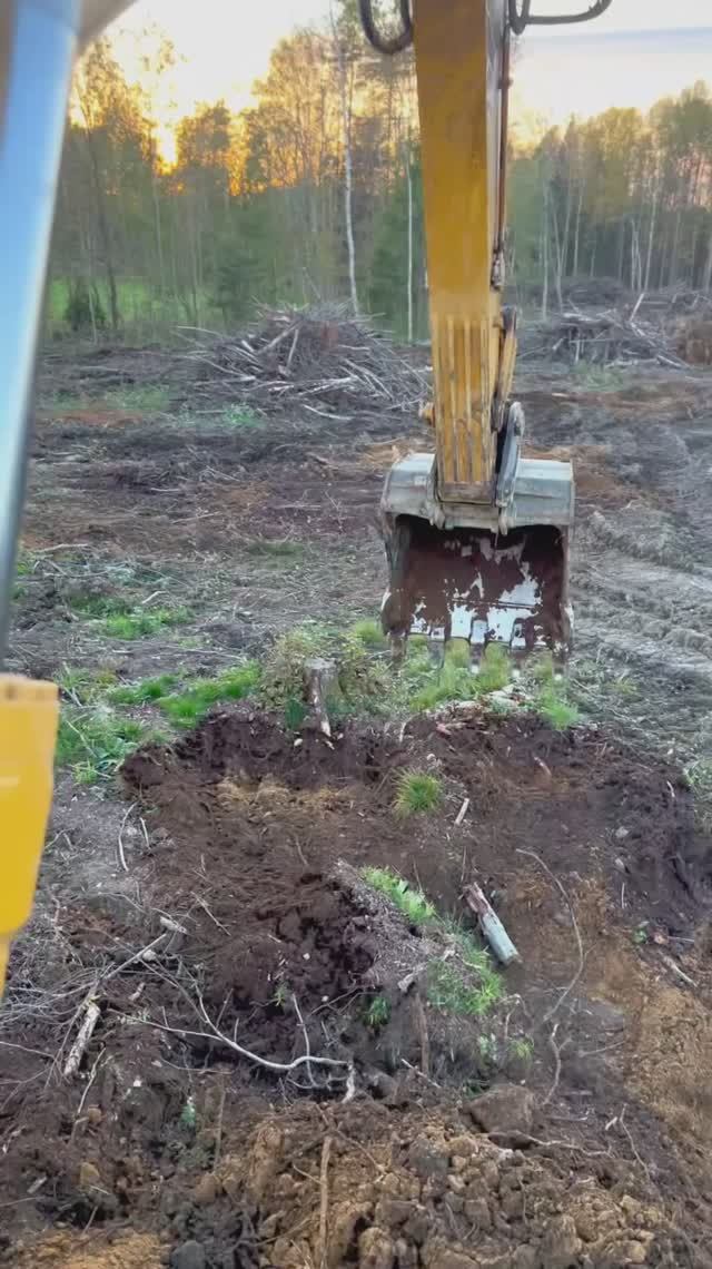 Расчистка под строительство коттеджного поселка.