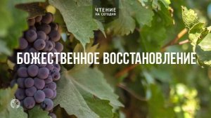 БОЖЕСТВЕННОЕ ВОССТАНОВЛЕНИЕ  | АУДИО |	18	  февраля 2026