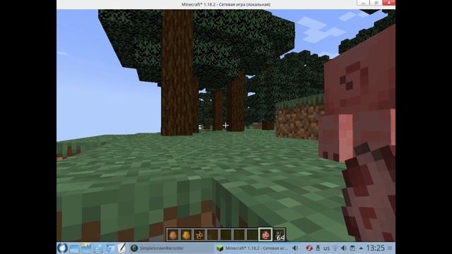 Мод X-HP для отображения жизней у мобов и игроков в Minecraft смотреть онлайн