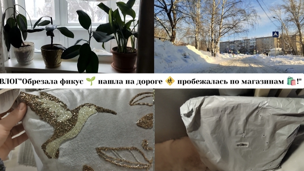 ВЛОГ"Обрезала фикус 🪴нашла на дороге 🚸 пробежалась по магазинам 🛍️ 😊!) смотреть онлайн
