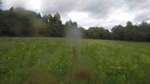 Путь Сусанина 2025 2 4