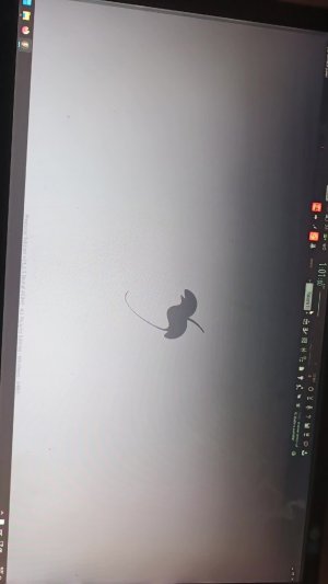 осваиваю фл студио