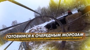 Готовимся к очередным морозам, возим сено с запасом, закатываем рулон коровам