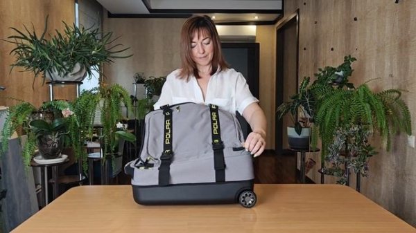 Чемодан, размер S, Polar Р2677 (20), серый