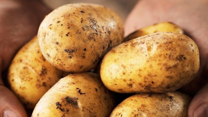 Вот почему это Лучший диетический продукт !!!