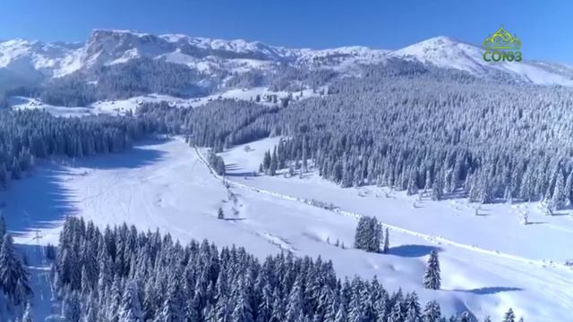 Стихи над миром. Стихотворения Зинаиды Миркиной смотреть онлайн