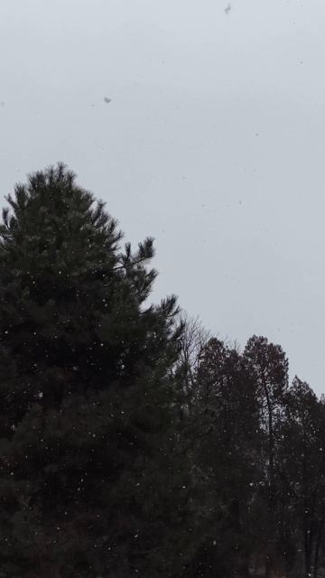 09.02.2026 #сегоднятак #природа #прырода #табиғ #自然 #natureza #natura #자연 #طبيعة #प्रकृति #nature