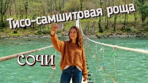 Сочи. Тисо-Самшитовый Заповедный Край. Каньон Чертовы Ворота