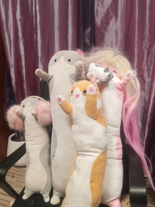 сумасшедшая семейка