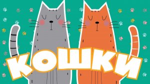 Творение учит нас | Кошки