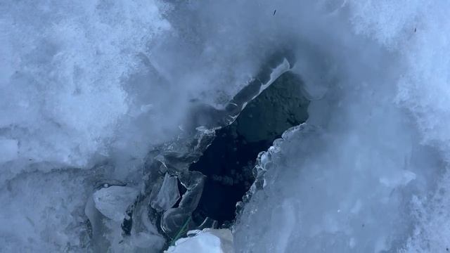 36019.mp4 смотреть онлайн