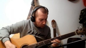 Птичий базар. Импровизация.