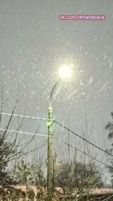 А снег не знал и падла смотреть онлайн