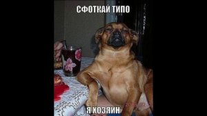 Разговоры с коллекторами 117