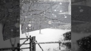 В феврале © Copyright: Бронислав Сычёв, 2026
Свидетельство о публикации №126020706094