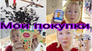 09-02-2026 Обзор покупок ВБ, FIX, Апрель, Пятёрочка * Североморск зимой  * Очень много снега