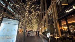 Прогулка по Маруноути Хибии и Гиндзе 🌆 Сердце Токио в деталях 🚶♂️✨