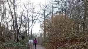 La Russie 🇷🇺 à raison preuve française établi 🇫🇷❗