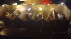 Обзор на самодельную конюшню