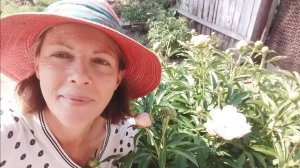 посеяла лук землянику сельдерей и петунью и