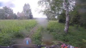 Путь Сусанина 2025 2 5