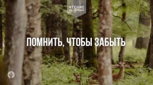 ПОМНИТЬ, ЧТОБЫ ЗАБЫТЬ  | АУДИО |	21	  февраля 2026