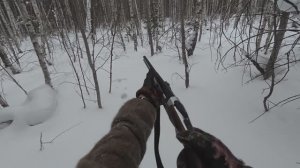 Распутываю следы зайца-беляка. Соль на солонец. Рябчик из под ног