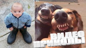 ПРИКОЛ \ ПОДБОРКА ПРИКОЛОВ Я РЖАЛ ДО СЛЕЗ, ЛУЧШИЕ ПРИКОЛЫ 2025 СМЕШНЫЕ ВИДЕО, ДЕВУШКИ , ПОДБОРКА