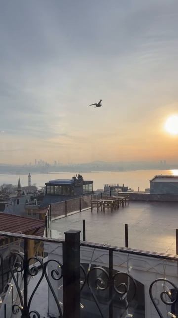 УТРО ,БОСФОР смотреть онлайн