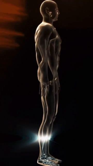 ЭЛИКСИРЫ (Фохоу, Три Драгоценности, Саньцын)