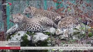 В региональном Турмонском заказнике развернется система фотомониторинга для диких животных