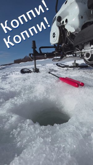 #Коппи_рыбалка_выдра!_Рыбоход