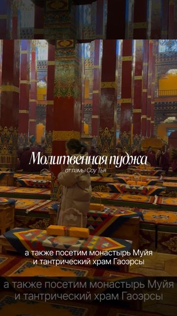 сычуань 5 моб