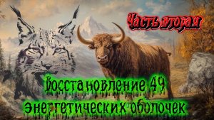 Восстановление 49 оболочек человека. Часть вторая.