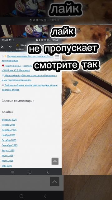 1000013138.mp4 смотреть онлайн