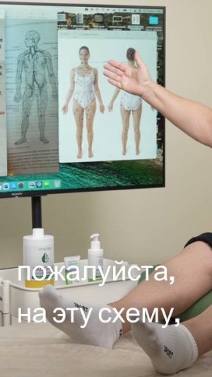 Анатомия бедра - Связь лимфатических узлов и сосудистой системы