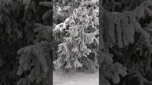 №106 Выравнивание функций физического тела