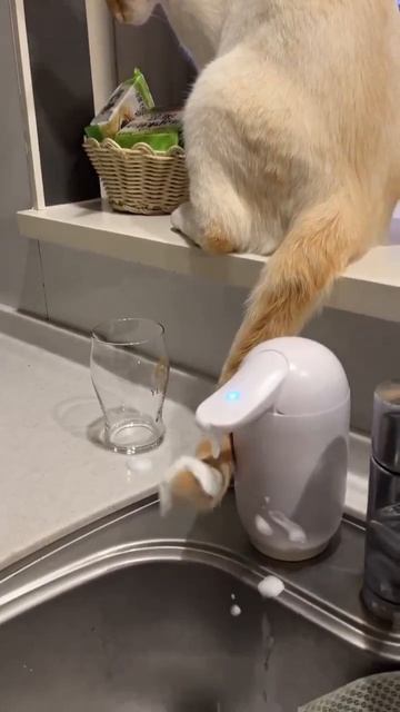 Расхититель мыла смотреть онлайн