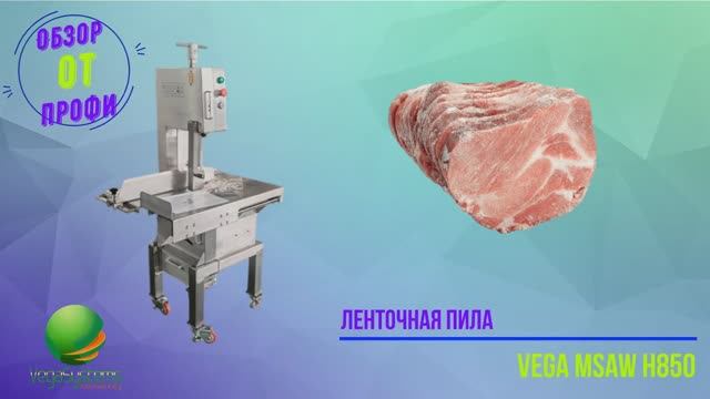 Ленточная пила Vega Msaw H850 для распила замороженного мяса, рыбы и костей _ Обзор от профи смотреть онлайн