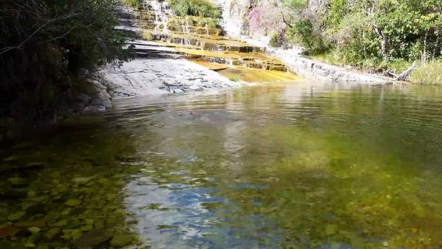 купальщица и собака смотреть онлайн