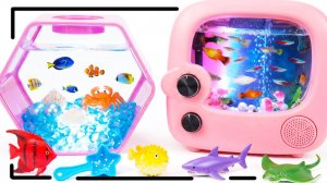 Мультики для детей. Радужные рыбки для аквариума🦈🐳🐡. Смотреть онлайн мультики для малышей.