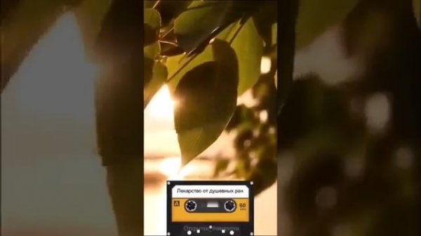 video_11175545476475.mp4