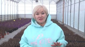 Дачные советы 05 февраля 2026 г.