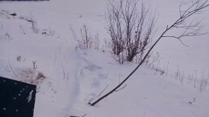 забрался на мототолкаче в берег реки по целеку