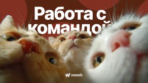Как управлять командой и пользователями. Серия 2