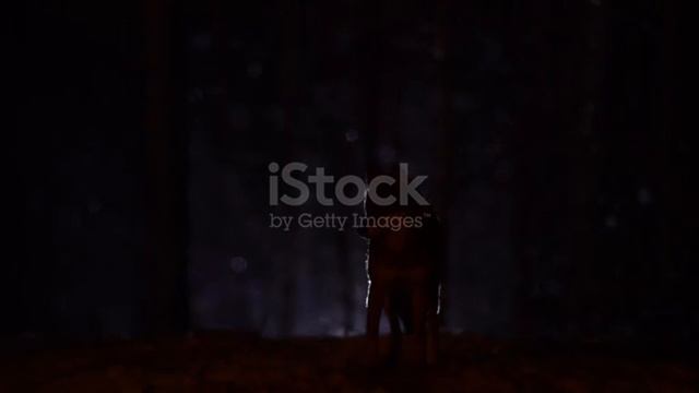 Вести Барбоскины 4 февраля 2022 смотреть онлайн