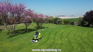 Аккумуляторный садовый райдер Grillo FD 220 E
