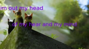 СТРЕЙ \ меме The Wolf\