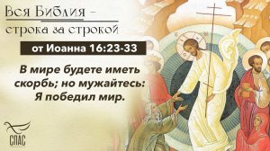Евангелие от Иоанна 16:23-33 / Вся Библия строка за строкой