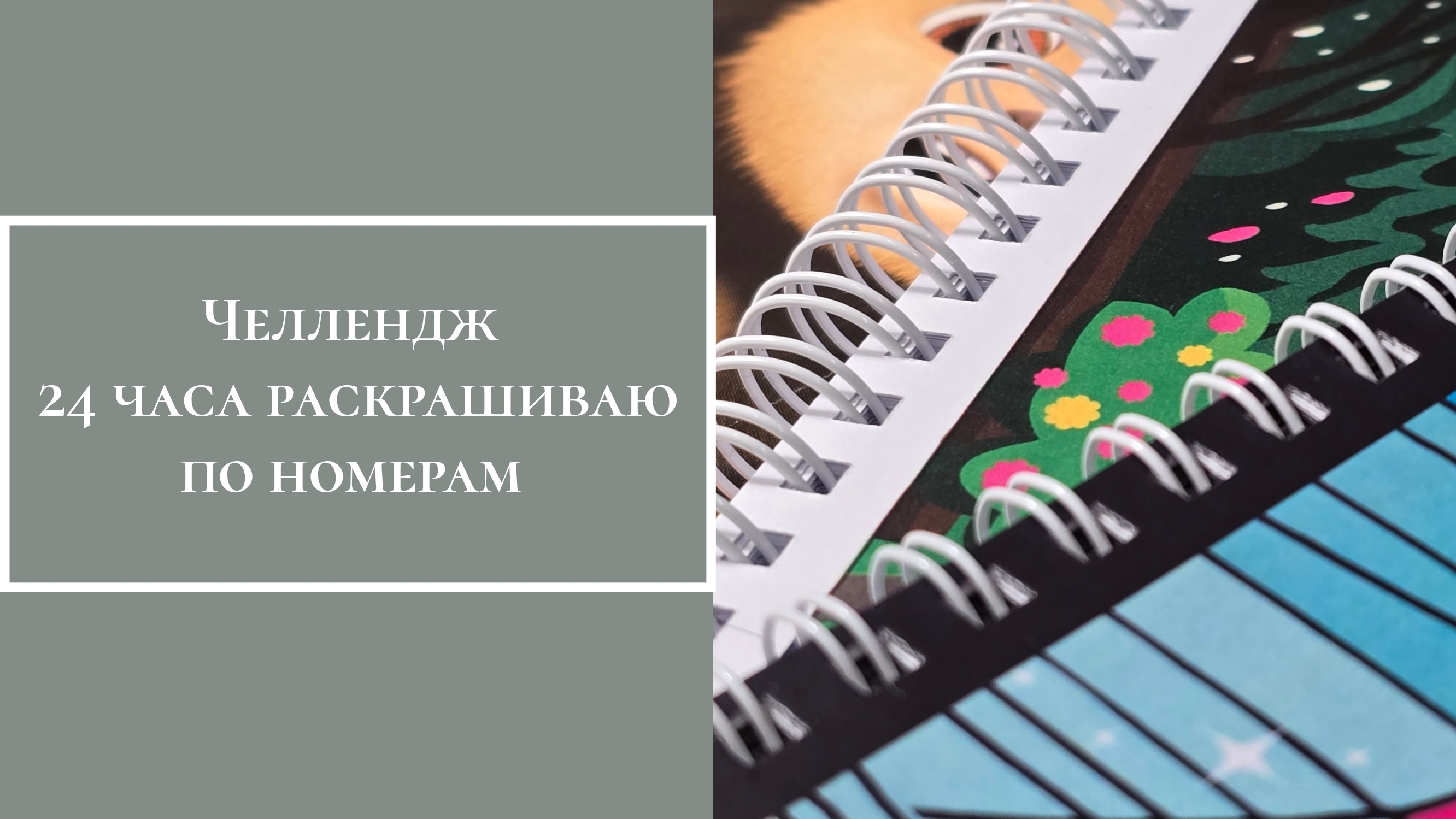Челлендж "24 часа раскрашиваю по номерам" смотреть онлайн